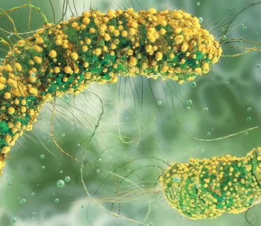 Επιστήμονές χάκαραν βακτήρια για να πολεμήσουν τον καρκίνο και να αυτοκαταστραφούν