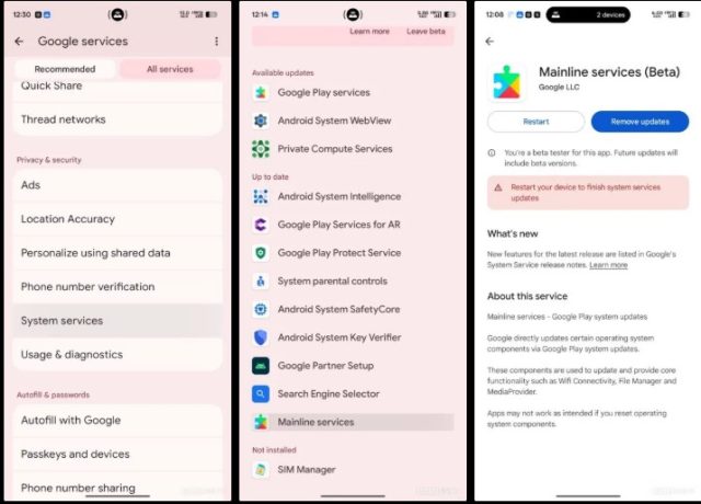  Google Play System updates