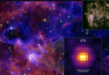 JWST συστστικά ζωής