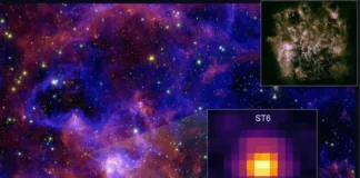 JWST συστστικά ζωής