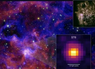 JWST συστστικά ζωής