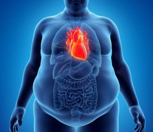 Δωρεάν φάρμακα για την παχυσαρκία: Ξεκινά η διαδικασία φάρμακα παχυσαρκία