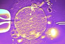 Δότης σπέρματος με σπάνιο γονίδιο καρκίνου, έγινε πατέρας σχεδόν 200 παιδιών! Και στην Ελλάδα