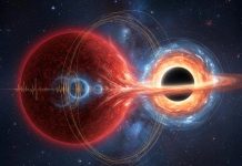 αστέρι μαύρη τρύπα