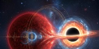 αστέρι μαύρη τρύπα
