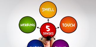 Νέα έρευνα αλλάζει τα δεδομένα – Ανακαλύφθηκε επιπλέον ανθρώπινη αίσθηση;