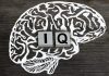 IQ