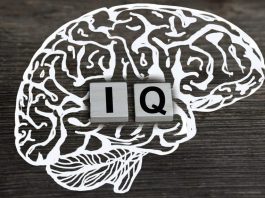 IQ