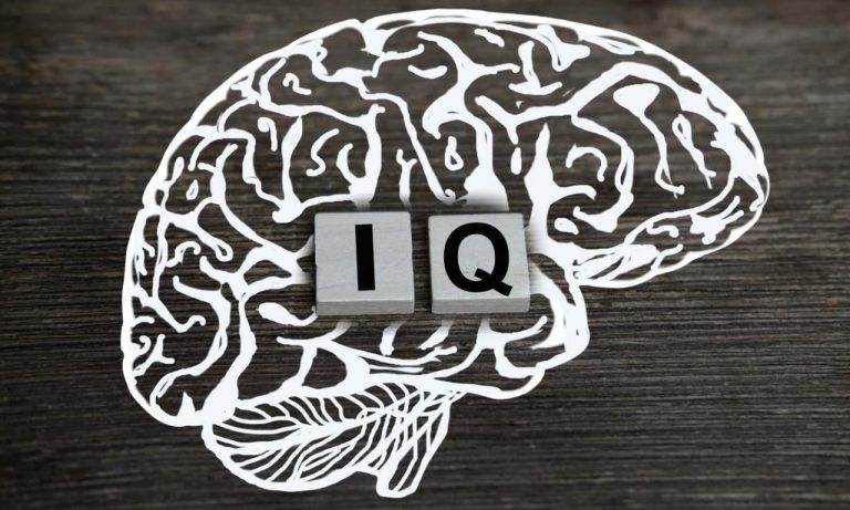 IQ