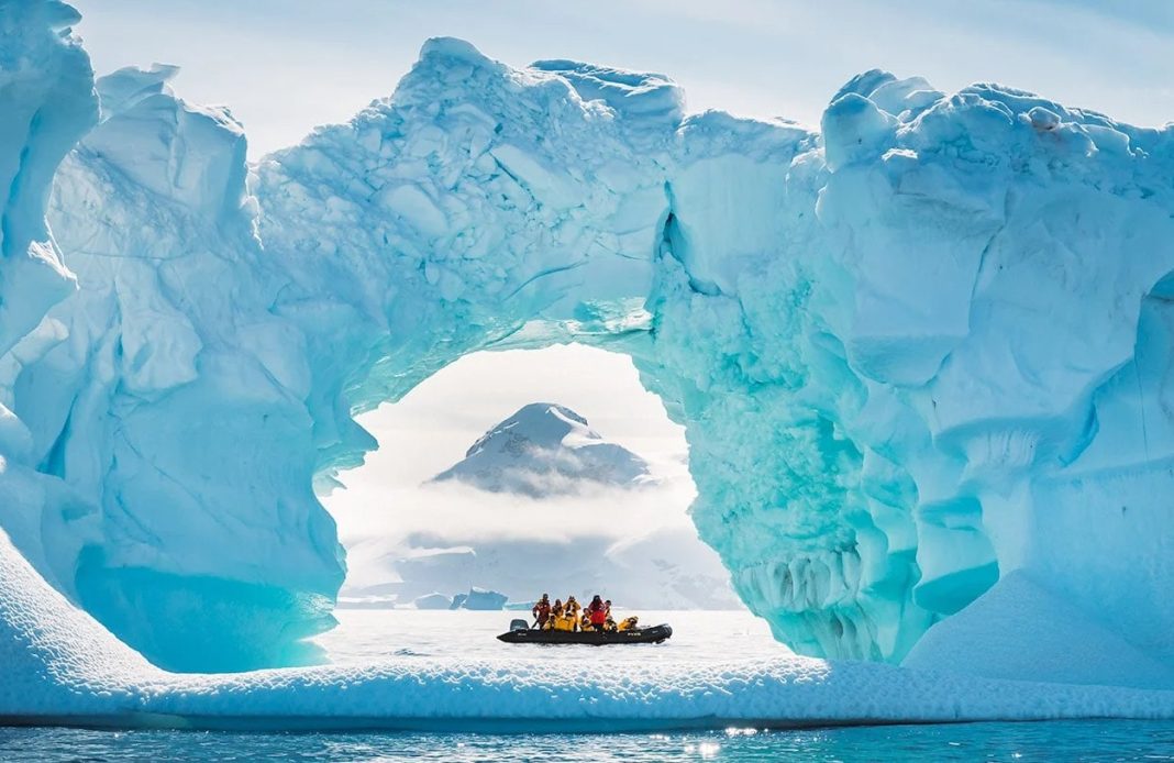 antarctica μορφές ζωής Ανταρκτική