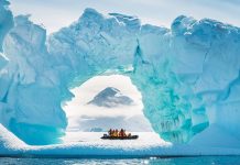 μορφές ζωής Ανταρκτική