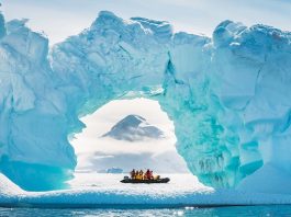 μορφές ζωής Ανταρκτική