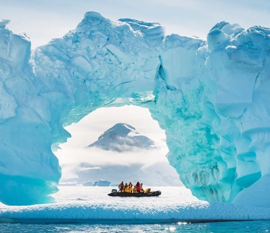 μορφές ζωής Ανταρκτική