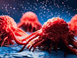 Νίκησαν για πρώτη φορά το πιο επιθετικό είδος καρκίνου στο εργαστήριο! καρκίνος του παγκρέατος