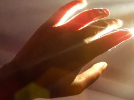 Εκπέμπουμε ένα φως που σβήνει με το θάνατο: Η απόδειξη! βιοφωτόνια