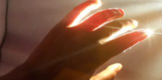 βιοφωτόνια