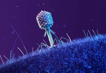 βακτήρια Διεθνή Διαστημικό Σταθμό