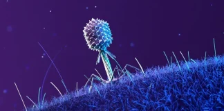 βακτήρια Διεθνή Διαστημικό Σταθμό