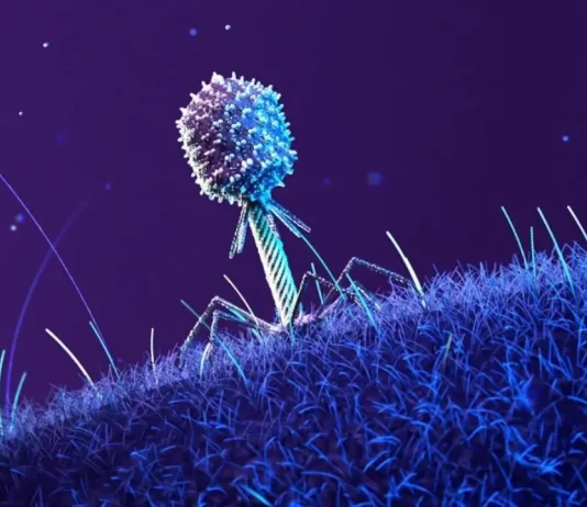 βακτήρια Διεθνή Διαστημικό Σταθμό