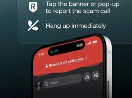 Call Identification revolut