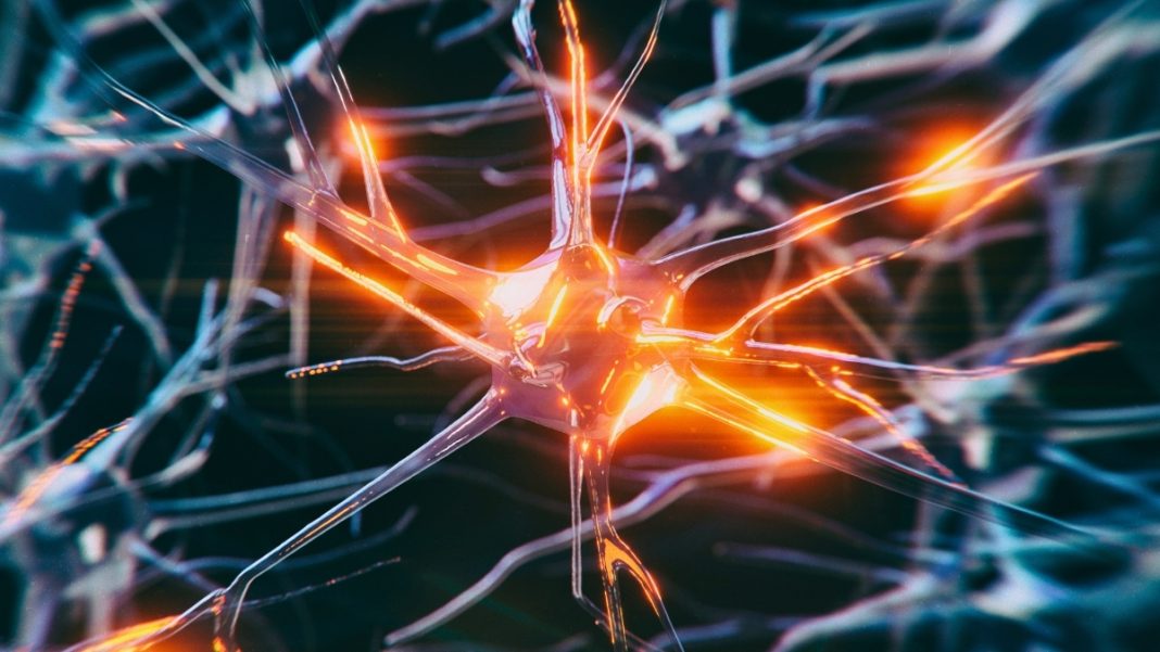 NeuronsInANetworkBrightOrange