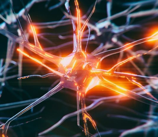 Εντοπίστηκε κυτταρικός μηχανισμός που προστατεύει τον εγκέφαλο από το Αλτσχάιμερ