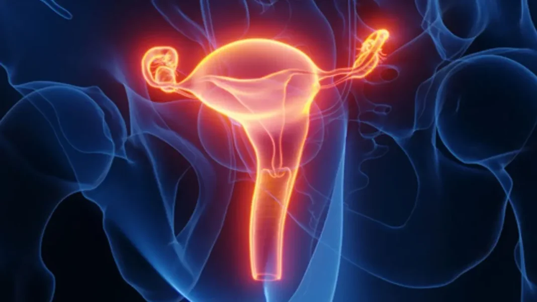 UterusTransplant μεταμόσχευση μήτρας