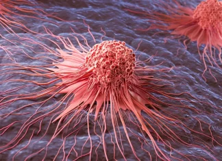 Μελάνωμα έρευνα HOXD13 κύτταρα