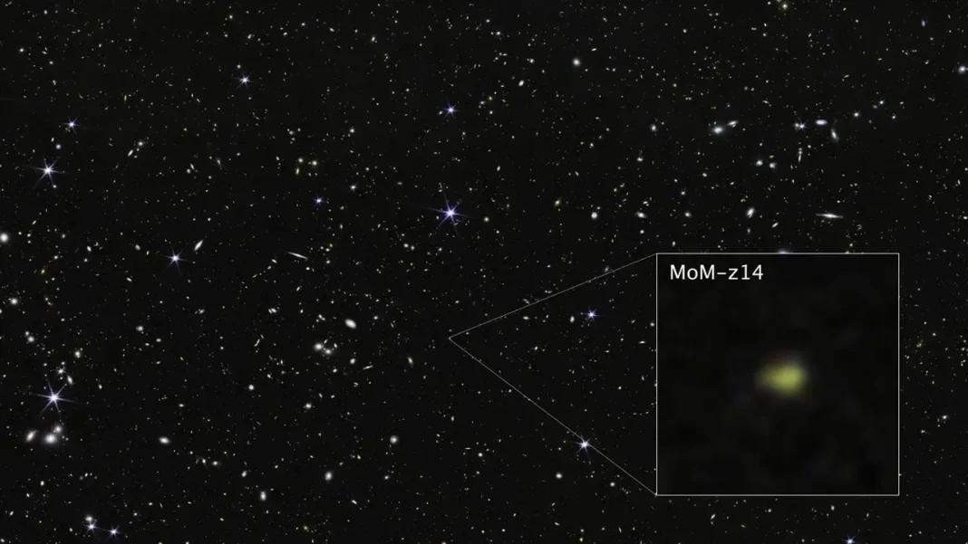 MoM-z14