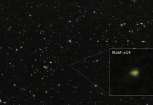 MoM-z14
