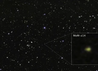 MoM-z14