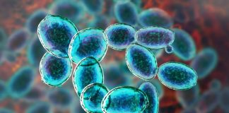 οργανισμοί άρη