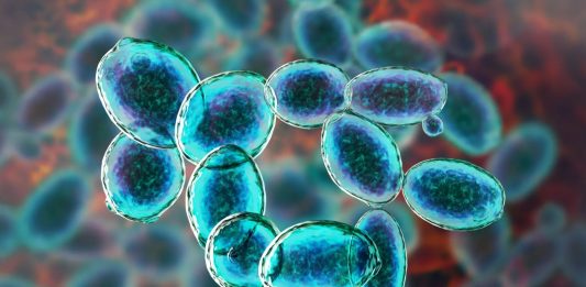 οργανισμοί άρη