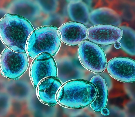 οργανισμοί άρη