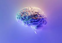 Η υπερβολική εξάρτηση στην τεχνητή νοημοσύνη βλάπτει την γνωστική ικανότητα, λένε ειδικοί