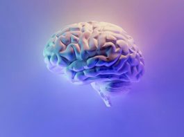 Η υπερβολική εξάρτηση στην τεχνητή νοημοσύνη βλάπτει την γνωστική ικανότητα, λένε ειδικοί