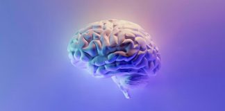 Η υπερβολική εξάρτηση στην τεχνητή νοημοσύνη βλάπτει την γνωστική ικανότητα, λένε ειδικοί