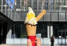 Η Xiaomi ανακοινώνει το Ice Cream, Ice Cream Pro και Pro Max!