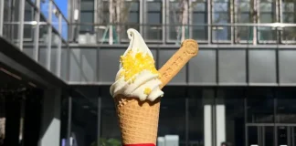 Η Xiaomi ανακοινώνει το Ice Cream, Ice Cream Pro και Pro Max!