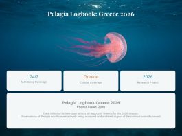 Μέδουσες στην Ελλάδα: Online πλατφόρμα παρακολούθησης για τη σεζόν του 2026 Μέδουσες στην Ελλάδα