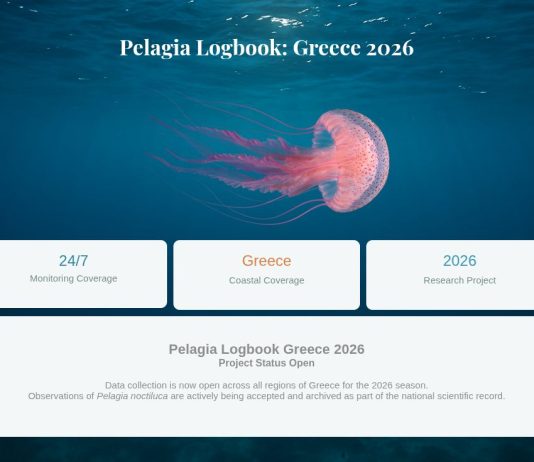 Μέδουσες στην Ελλάδα: Online πλατφόρμα παρακολούθησης για τη σεζόν του 2026 Μέδουσες στην Ελλάδα