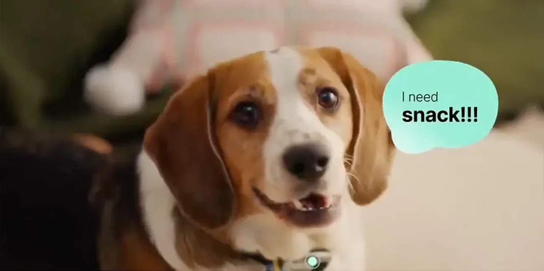 ai-collar-pet-bark-meow-pettichat