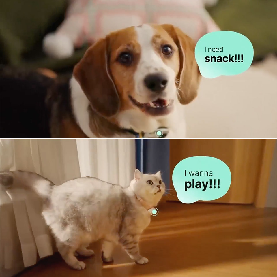 Pettichat
