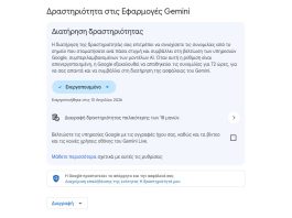 Δραστηριότητα στις Εφαρμογές Gemini