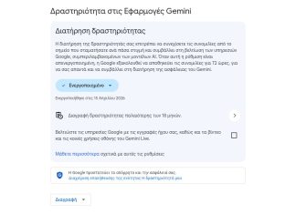 Δραστηριότητα στις Εφαρμογές Gemini