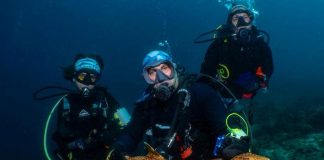Ανακάλυψαν ένα νέο είδος καρχαρία με «πόδια» Hemiscyllium dudgeonae
