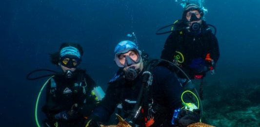 Ανακάλυψαν ένα νέο είδος καρχαρία με «πόδια» Hemiscyllium dudgeonae
