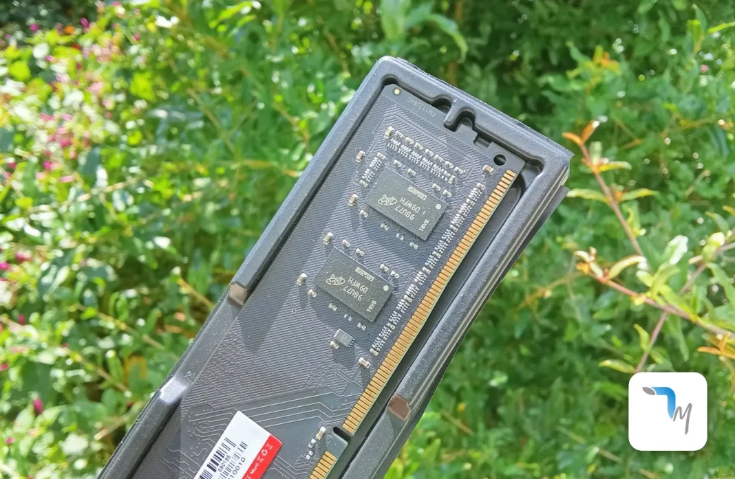 ram