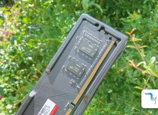 ram