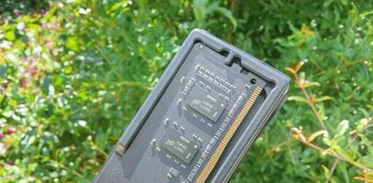 ram